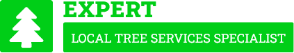 Papakura Tree Services - Tree Removal Auckland